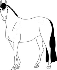 horse illustration