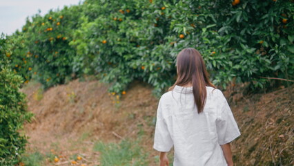 Admiring lady stepping tangerine fruits alley back view. Woman turning camera