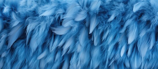 Obraz premium Elegant blue fur and chicken feather texture background.
