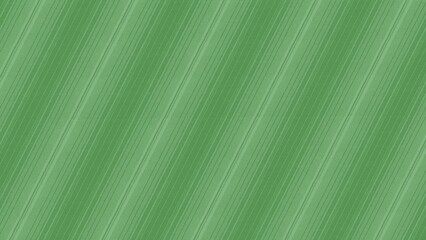 carpet textile diagonal green for interior floor and wall materials