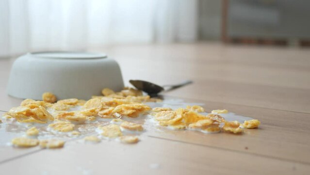 Spilled breakfast cereal on floor