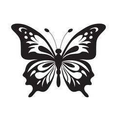 Butterfly Silhouette Aesthetic