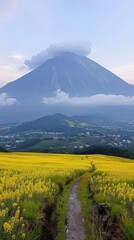 Fototapeta premium Mount Fuji with Cap of Clouds Overlooking Yellow Rapeseed Blossom Fields and Country Path
