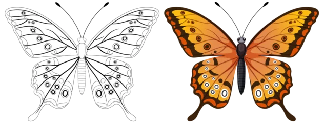 Fototapete Rund Vector graphic of a butterfly, colored and line art © GraphicsRF