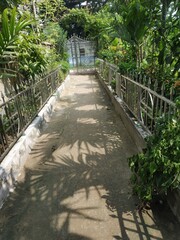 path in the garden photo
