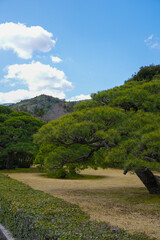 伊勢神宮 風景 景色