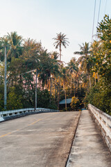 Fototapeta premium Road with coconut trees in the morning
