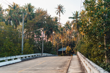 Fototapeta premium Road with coconut trees in the morning