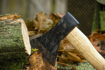 Close-up of axe embedded halfway into a tree log