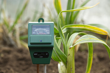 Soil moisture meter placed in garden, surrounded by plants - obrazy, fototapety, plakaty