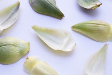 Fresh artichoke petals on white background