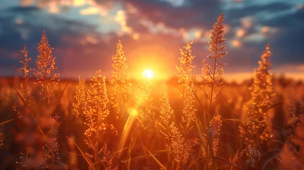 Foto op Plexiglas Calming amber and blue sunset  © Mark