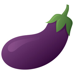 Eggplant Fruit Illustration