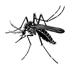 Mosquito Silhouette vector illustration