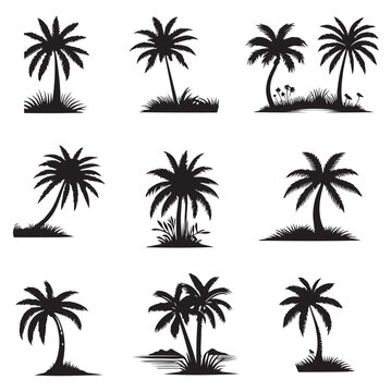 set of palm trees silhouettes on white