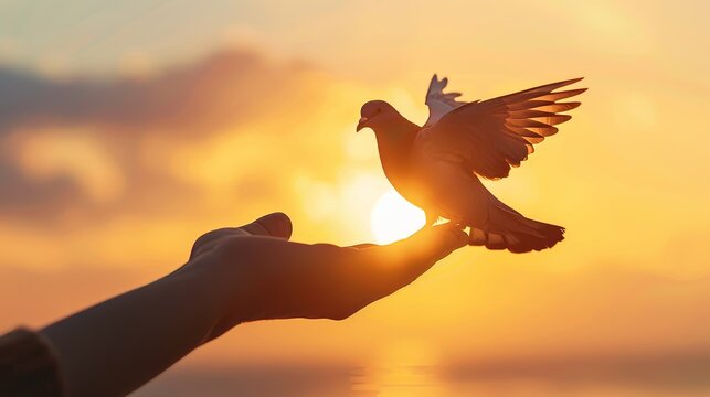 Hand silhouette with incoming pigeon sunrise light Symbolizing freedom merit and faith