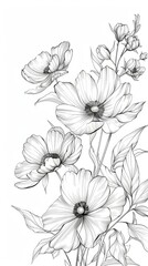 Black and white pencil illustration of blooming flowers