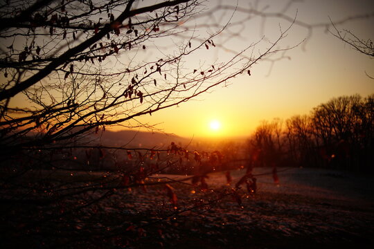 beautiful sunset in the park with the view to Freiburg im Breisgau city, Germany