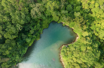 Aerial view of a lake in the forest. Top view.