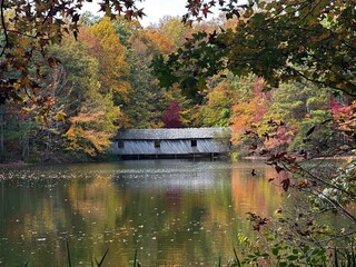 autumn in the park covered bridge