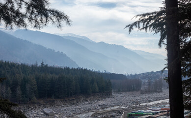 winter forest in the mountains
