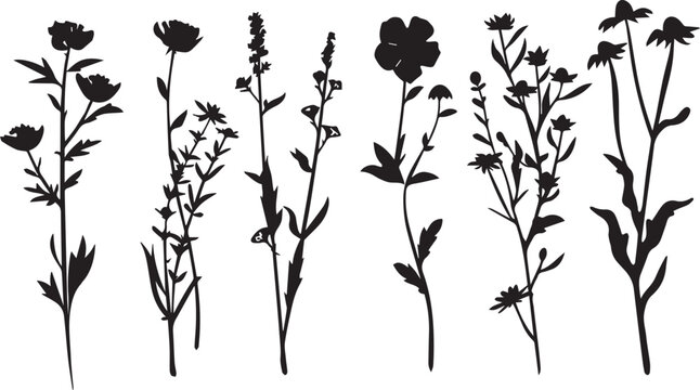 Black flowers signs, flower icons on white background
