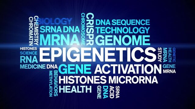 Epigenetics animated word cloud;text design animation tag kinetic typography seamless loop.