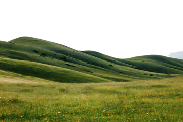 countryside on a mountain slope, transparant background.