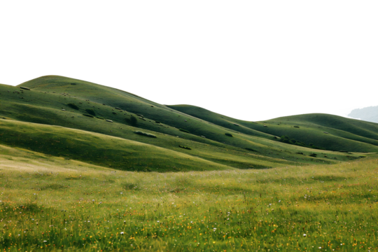 countryside on a mountain slope, transparant background.