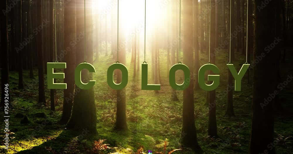 Poster forest with sun rays and swing on the string ecology word.