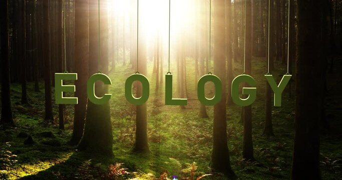 Forest with sun rays and swing on the string ecology word.