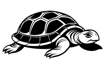 crawling-side-turtle--lying-quietly vector illustration