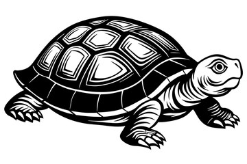 crawling-side-turtle--lying-quietly vector illustration