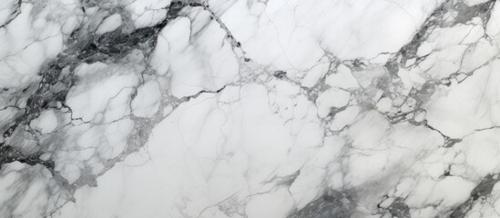 A detailed view of a white marble texture resembling black veins, creating a stunning pattern reminiscent of a natural landscape in freezing weather - obrazy, fototapety, plakaty