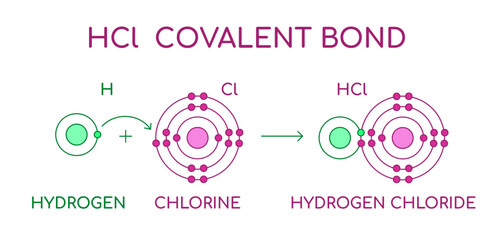 HCl Hydrogen Chloride covalent bond. Diatomic molecule, consisting of a hydrogen atom H and a chlorine atom Cl. Hydrochloric acid in a liquid state. Lewis atomic structure. Vector illustration. 