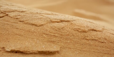 Fototapeta na wymiar Details of sandstone texture background Seamless sand selective focus. macro close up soft colors