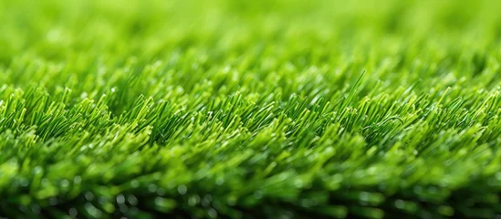 Zelfklevend Fotobehang A closeup view of a vibrant green field of grass, showcasing the beauty of this terrestrial plant in its natural landscape as a groundcover © AkuAku