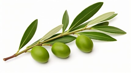 Obraz na płótnie Canvas Olives on a branch with leaves, displayed in isolation on a white background.