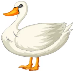 Fototapete Rund Cartoon vector of a cute, white, standing duck © GraphicsRF