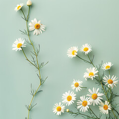 Serene Springtime in Minimalist Daisy Design