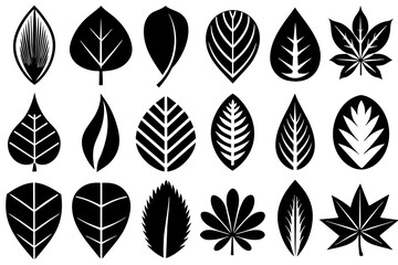 set of silhouettes of leaves