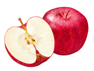 林檎（1個と半分）