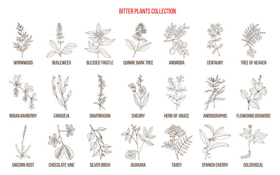 Bitter plants collection