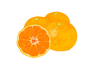 みかん（3個と断面）