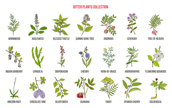 Bitter plants collection