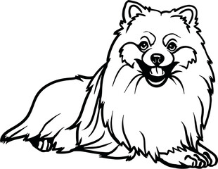 Pomeranian - Lying Dog, Funny dog Cut File for cricut clipart