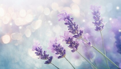 A soft-focus artistic image featuring a cluster of delicate lavender flowers against a dreamy,...
