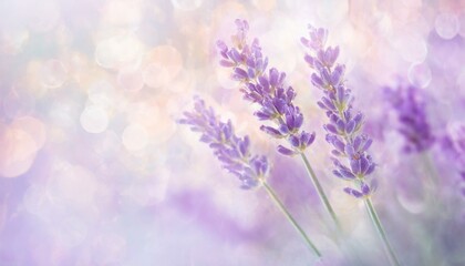 Obraz premium A soft-focus artistic image featuring a cluster of delicate lavender flowers against a dreamy, pastel-colored background, Ai Generate 