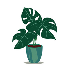 Monstera plant in pot, ornamental houseplant, monstera icon vector