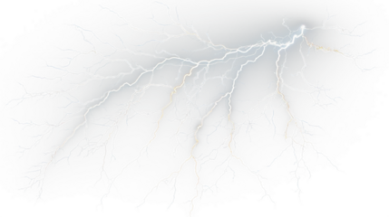 cut out, transparent photo, Transparent layer image, Remove background, clipped